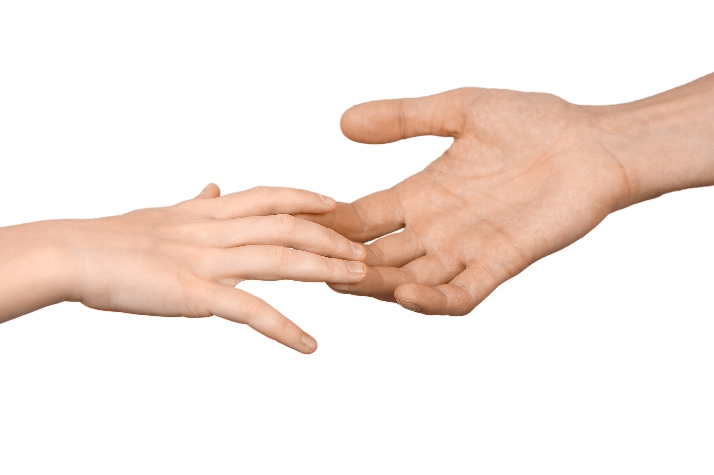 A pair of hands shaking

Description automatically generated with low confidence
