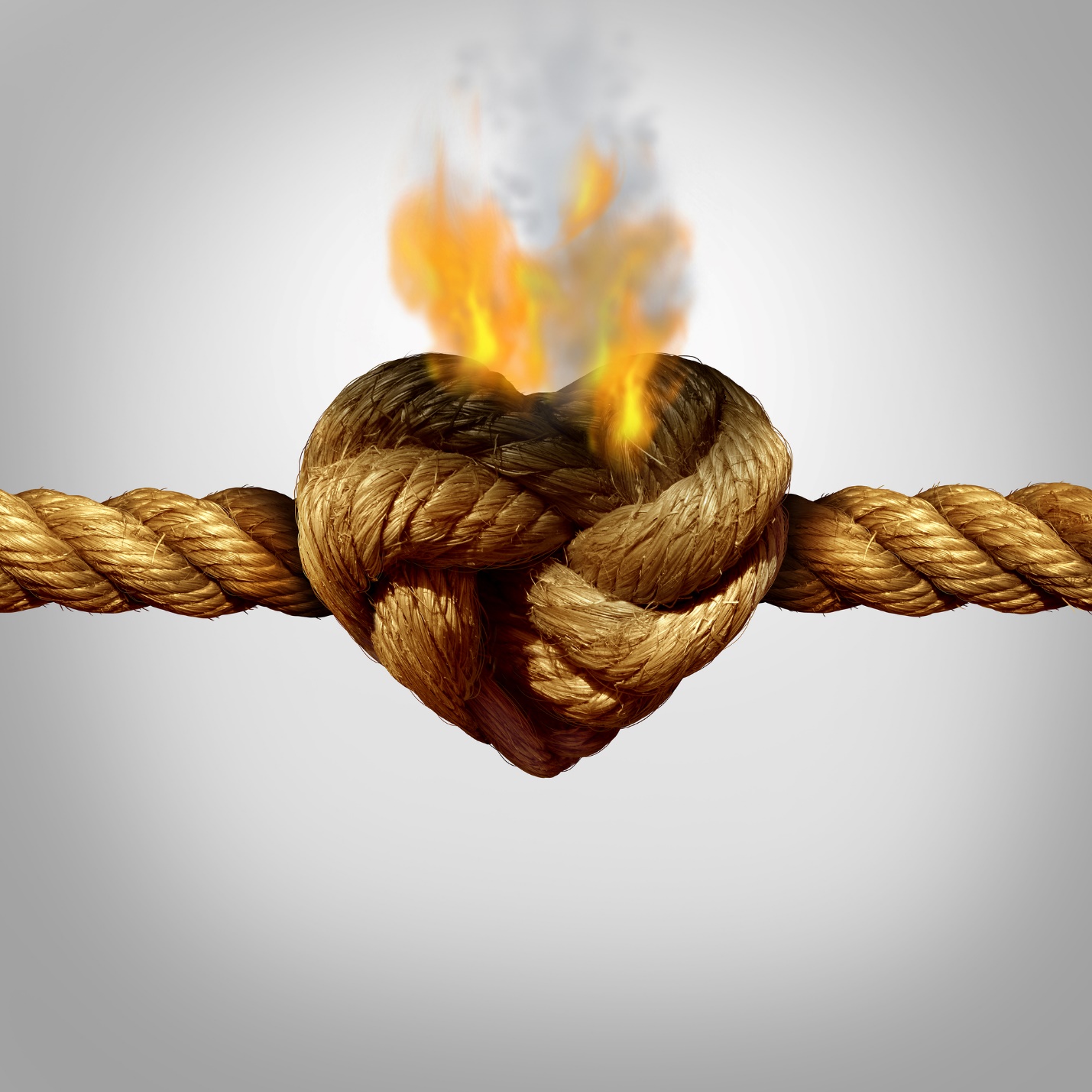 A picture containing rope, chain

Description automatically generated