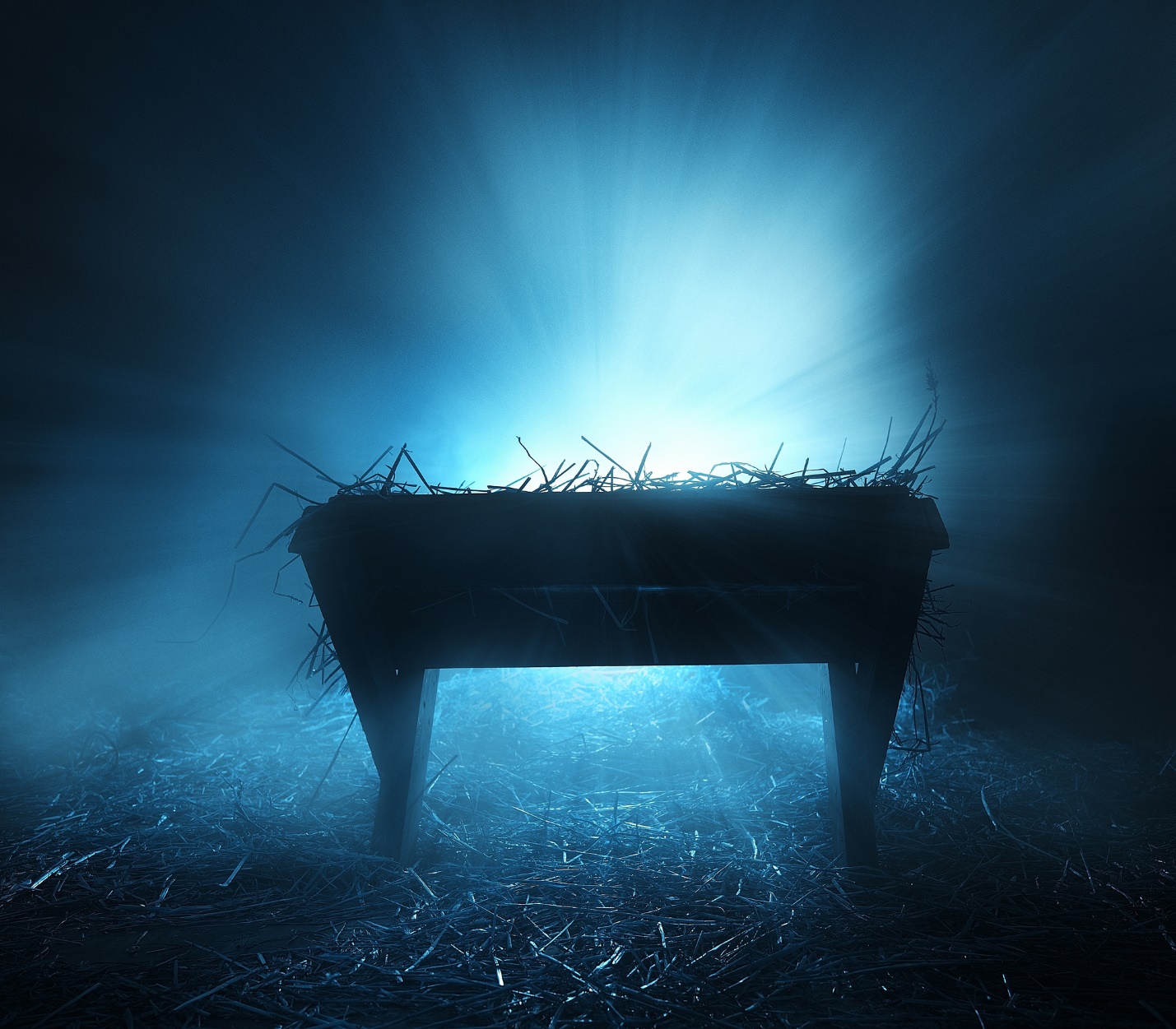 A bench in the dark

Description automatically generated with low confidence