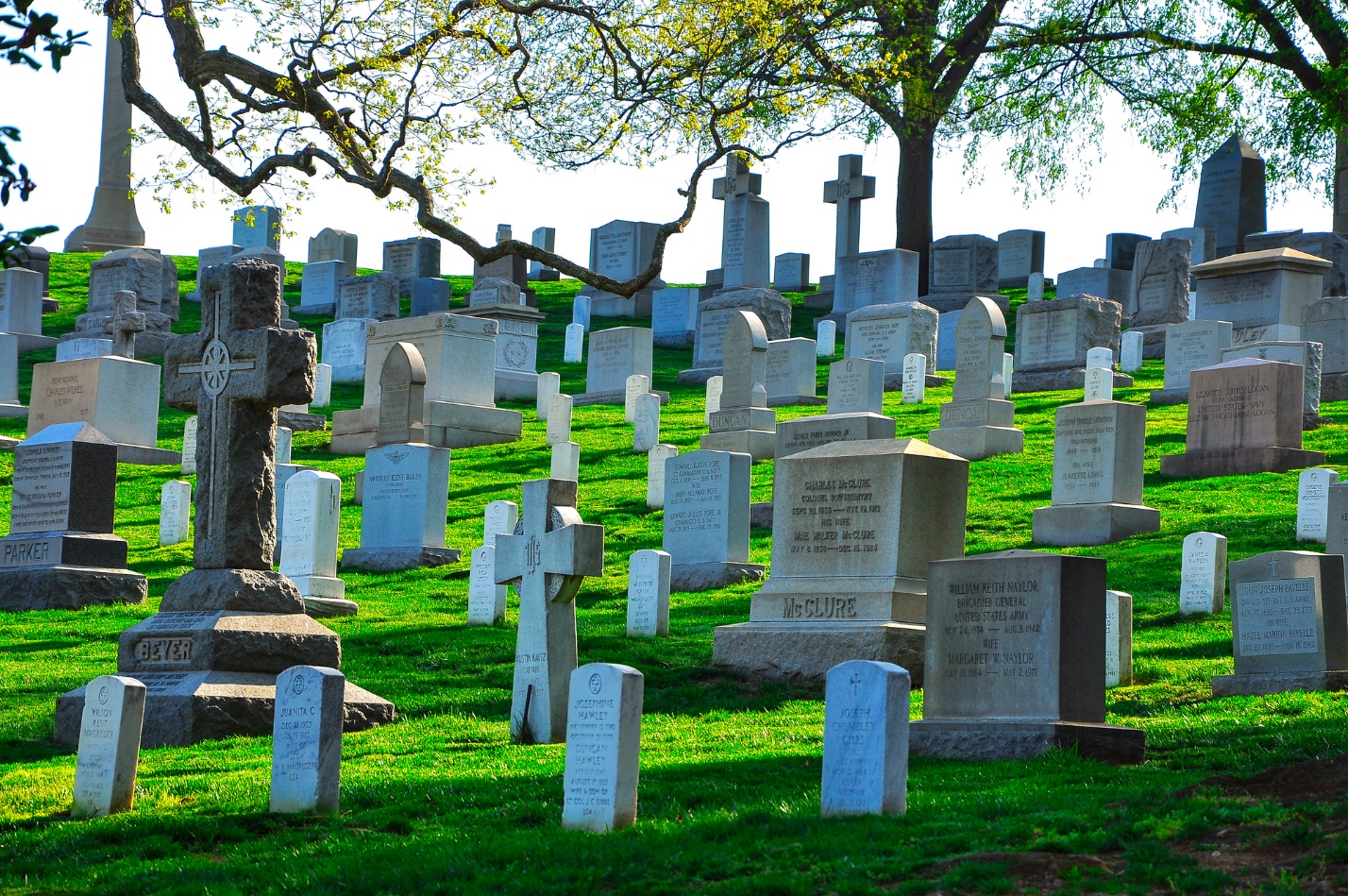 A cemetery with many tombstones

Description automatically generated with medium confidence