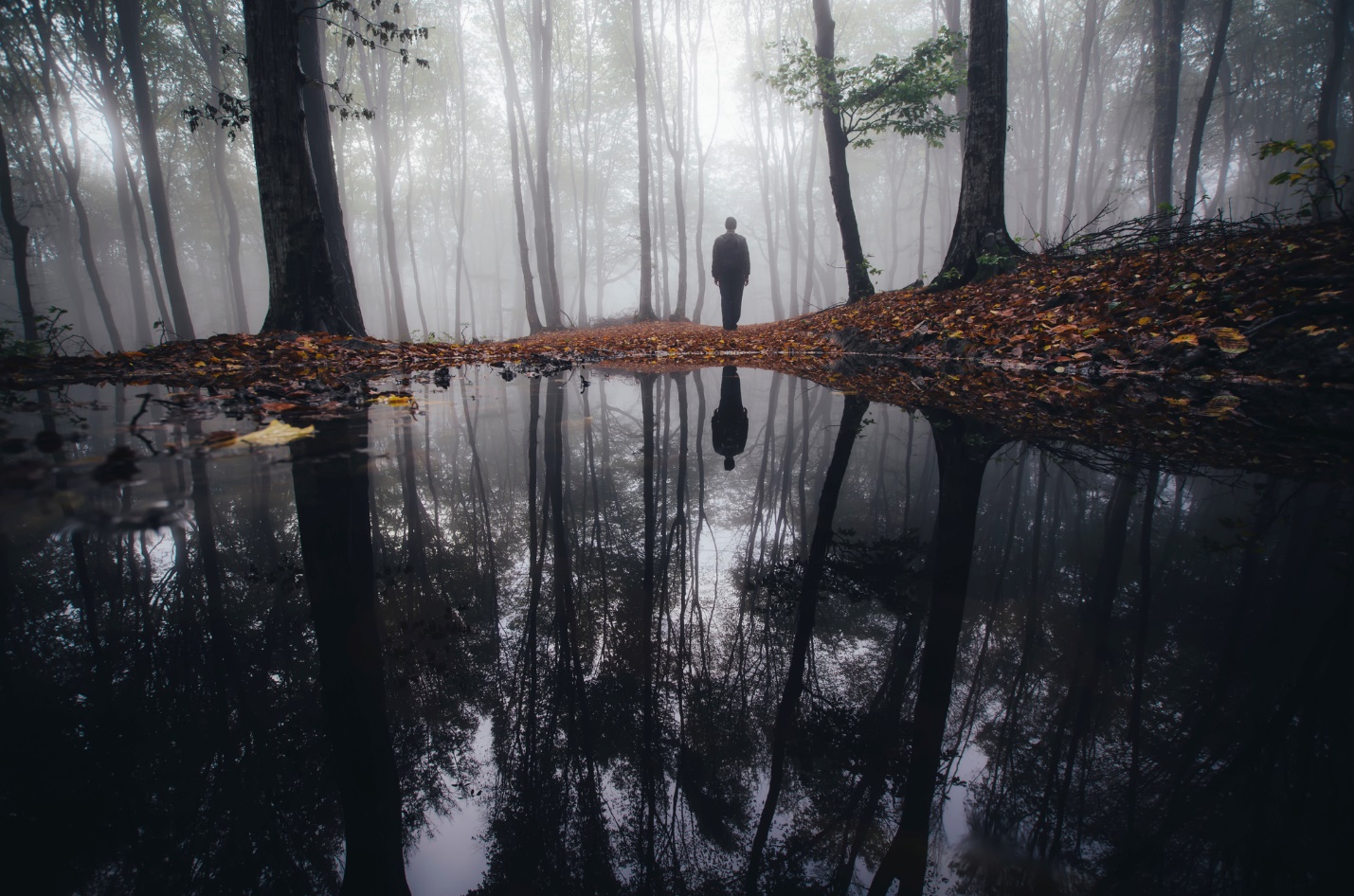 A person standing in a swamp

Description automatically generated with low confidence