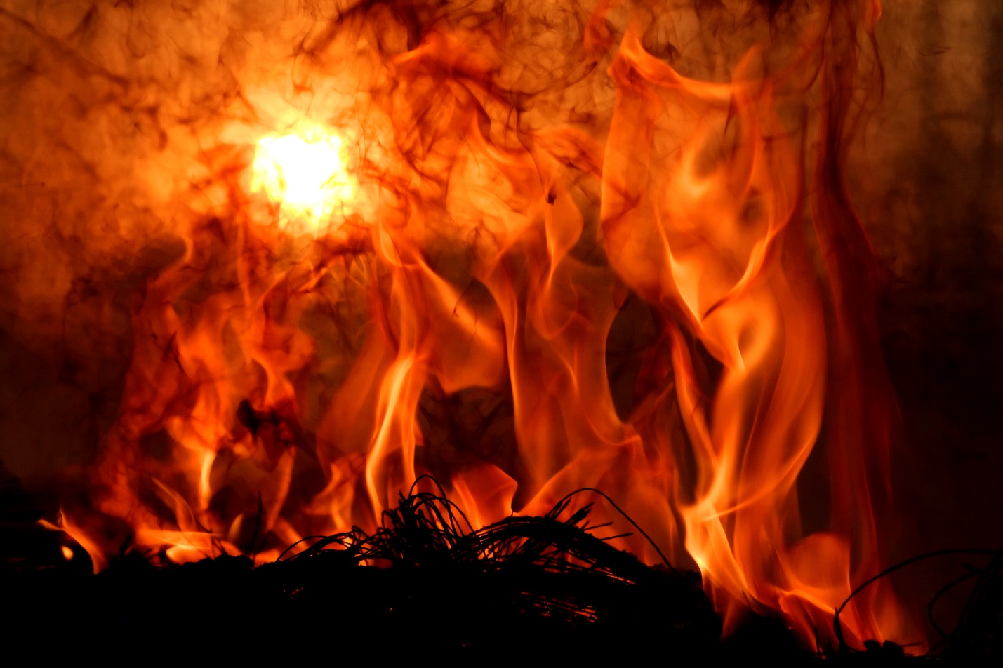 A picture containing fire, fireplace, nature, cooking

Description automatically generated