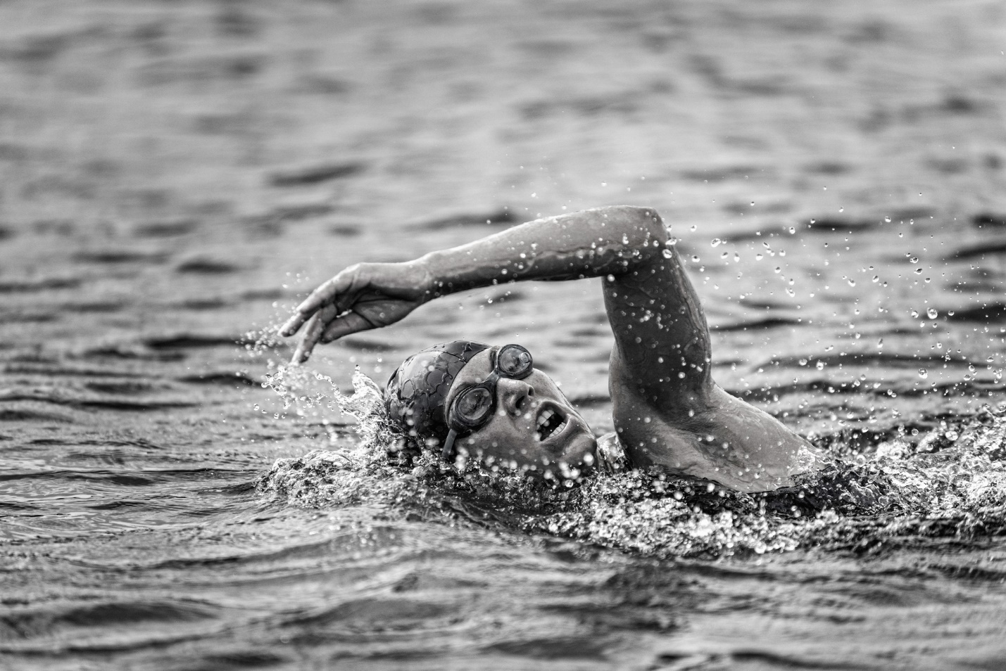 A person swimming in water

Description automatically generated with medium confidence