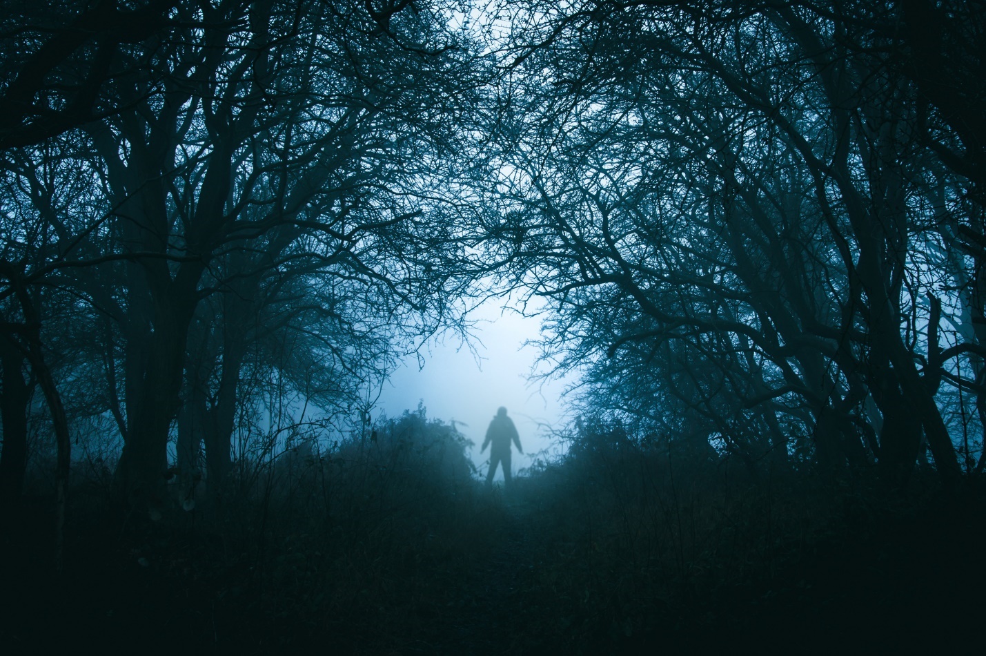 A person standing in a dark forest

Description automatically generated with low confidence