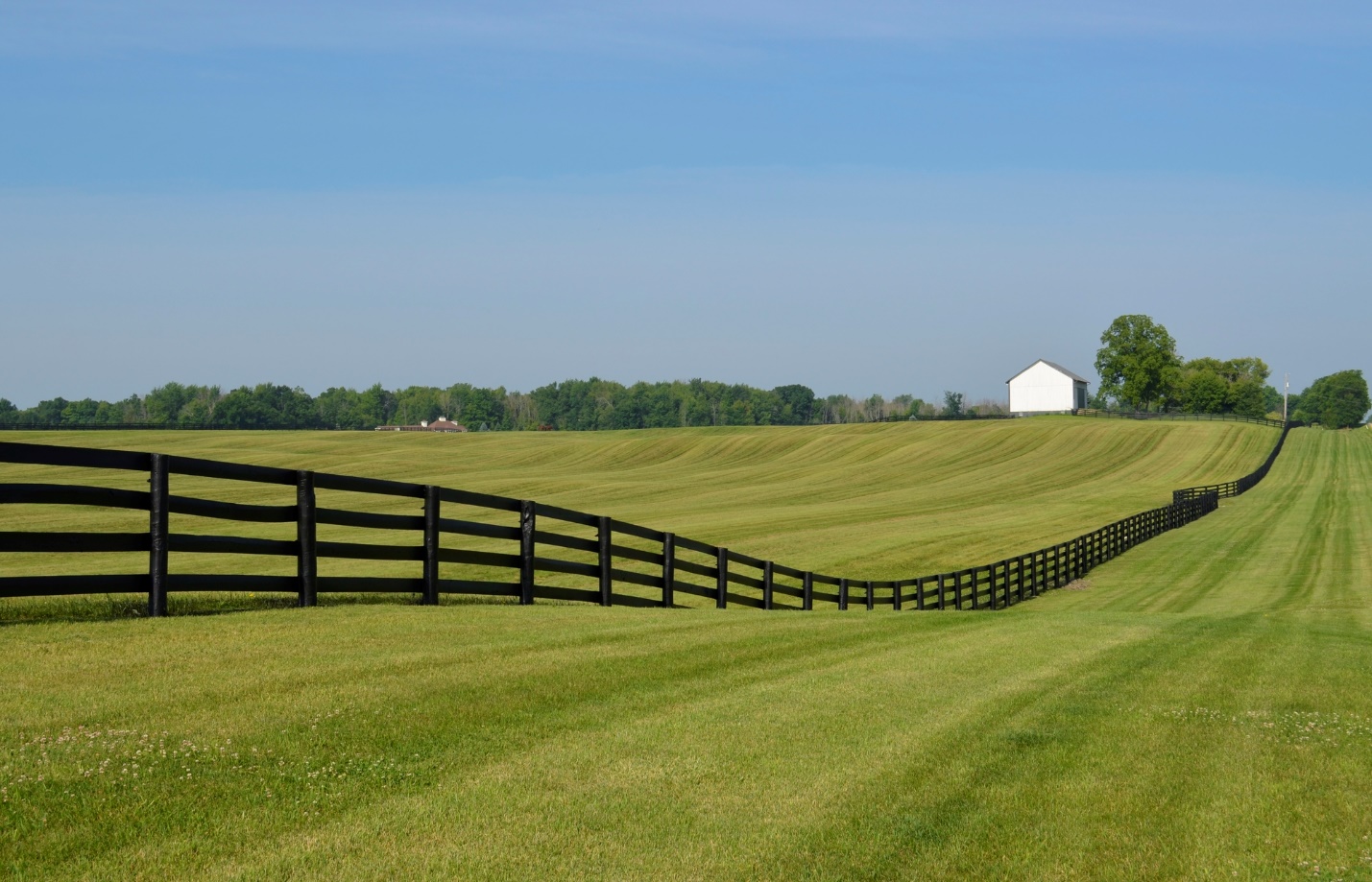 A picture containing grass, outdoor, sky, building

Description automatically generated