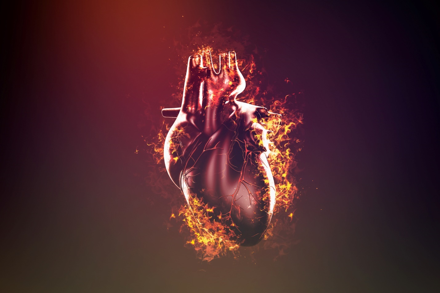 A human heart in fire

Description automatically generated