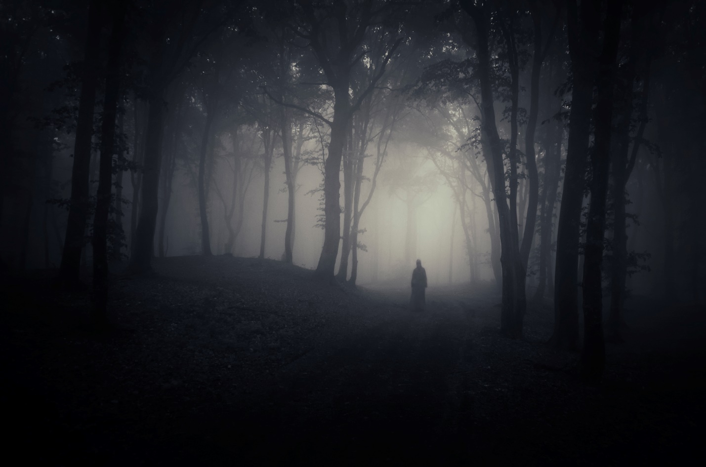 A person standing in a foggy forest

Description automatically generated