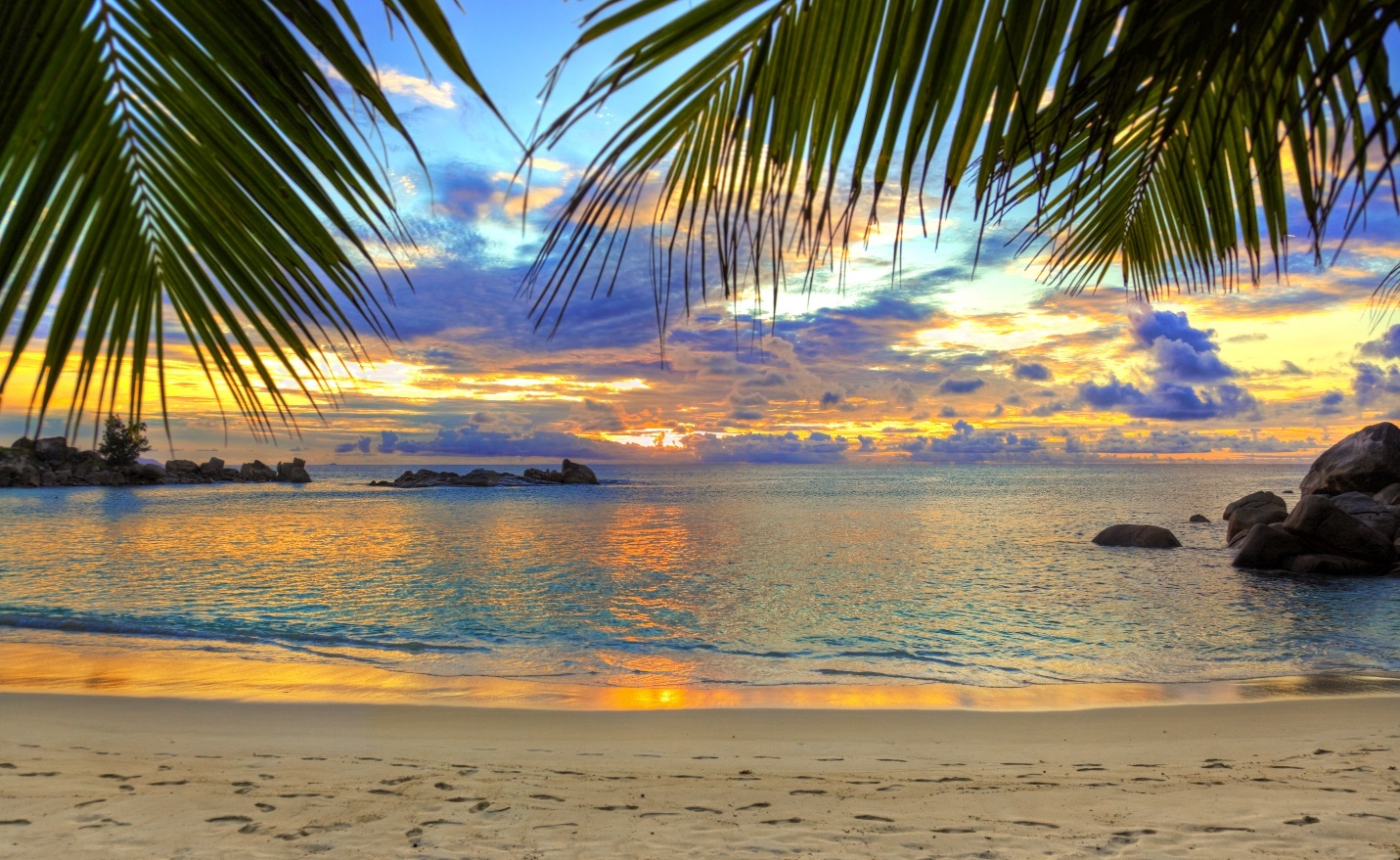 A beach with palm trees and water

Description automatically generated