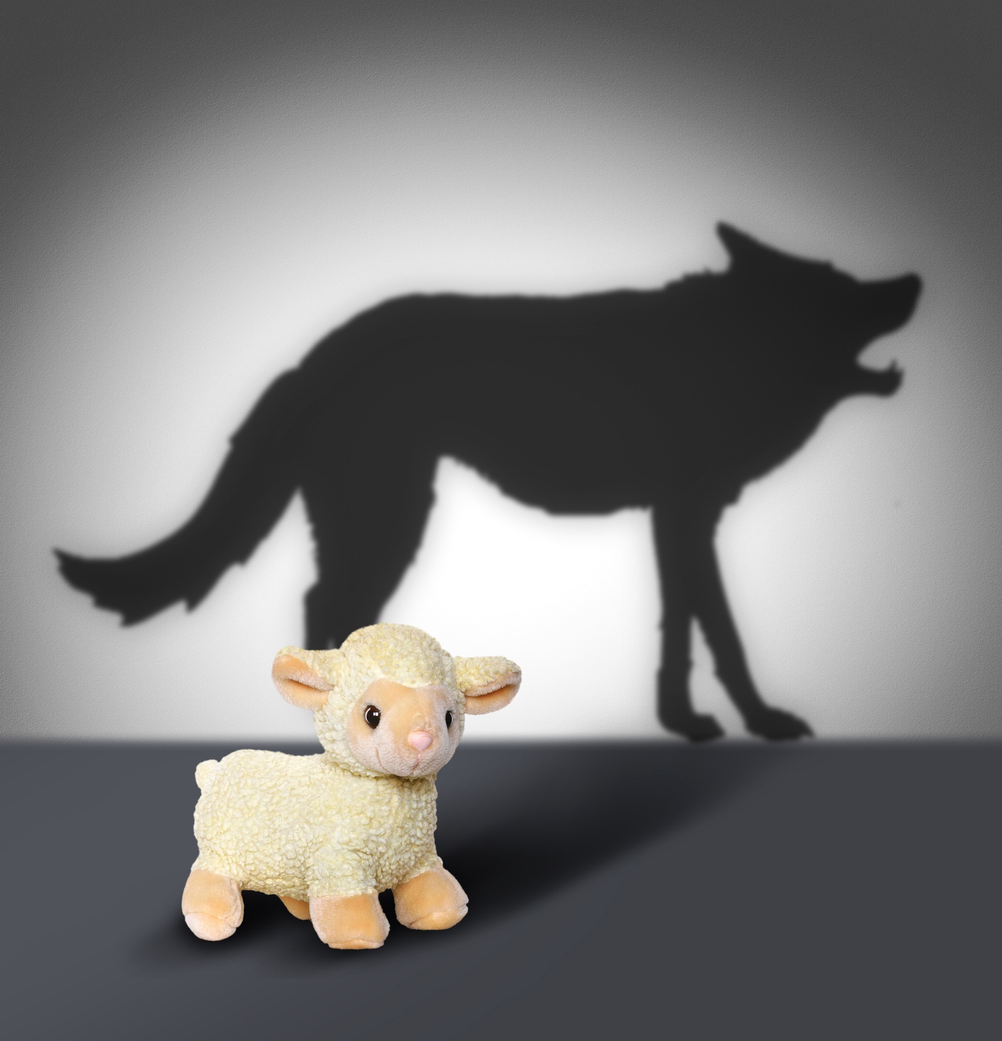 A stuffed animal next to a wolf shadow

Description automatically generated