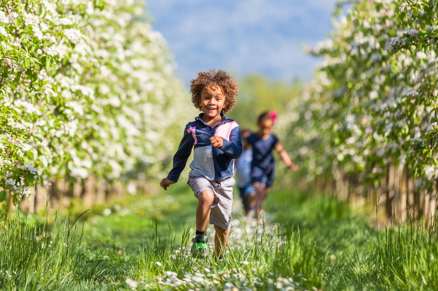 A couple of children running on a path in a field of flowers

Description automatically generated