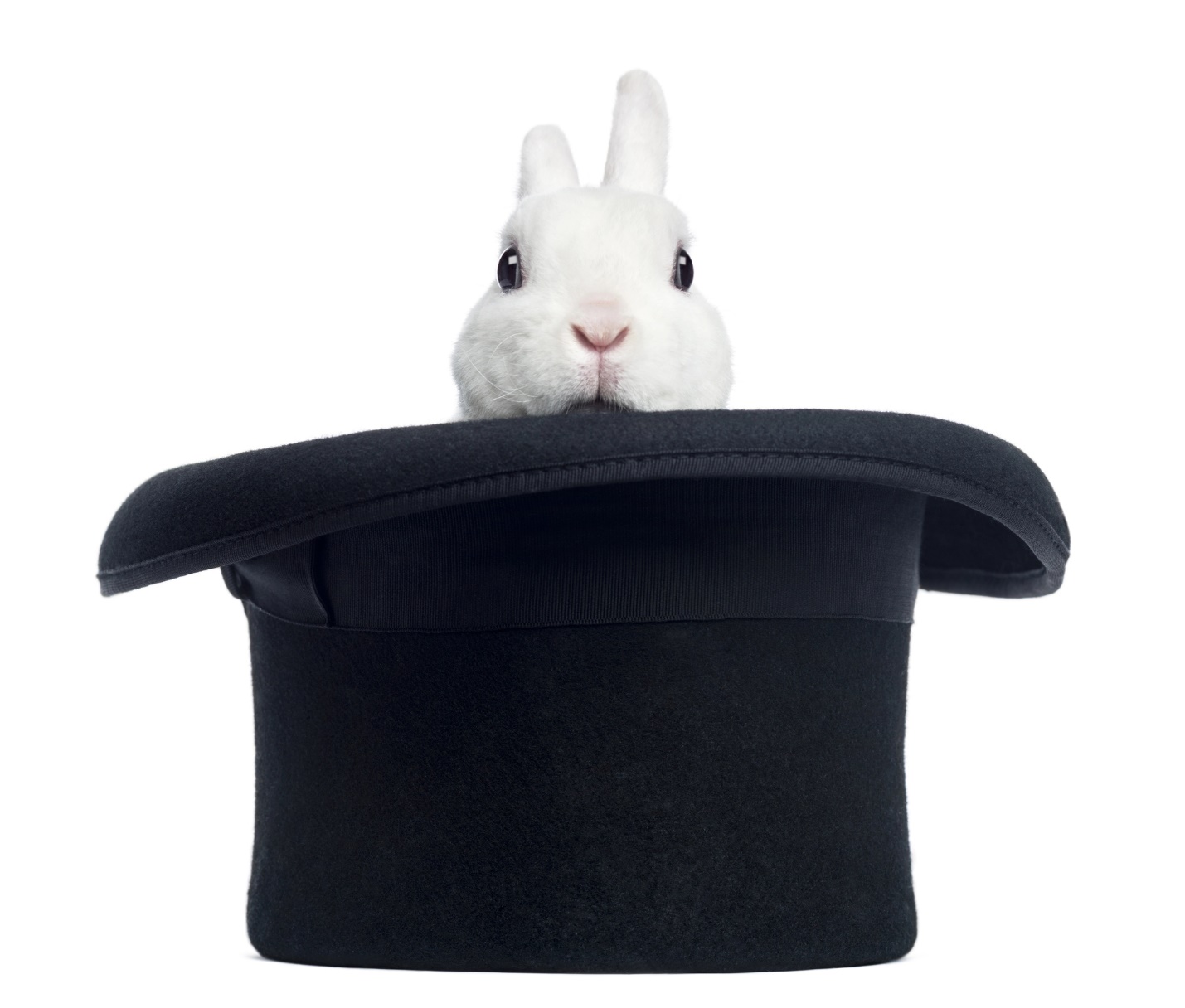 A rabbit in a hat

Description automatically generated