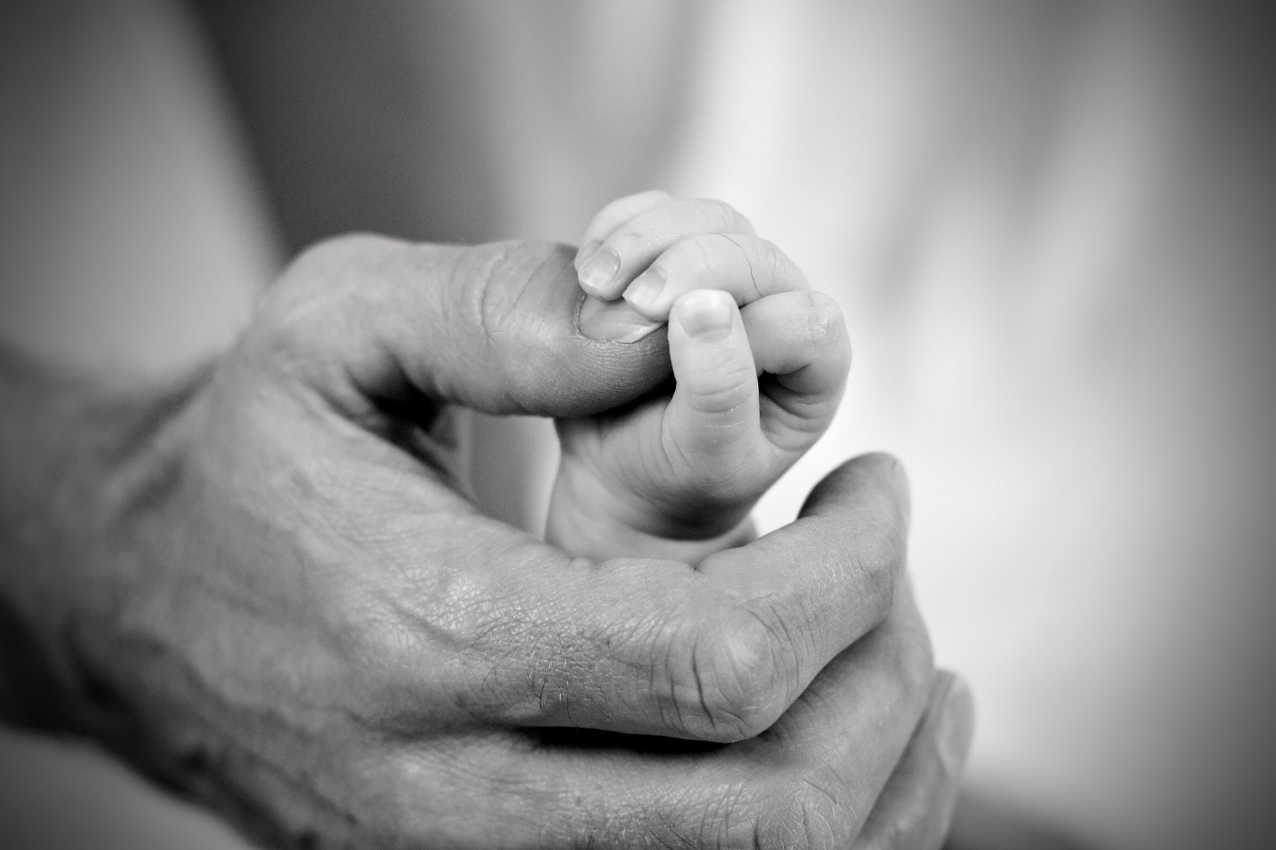 A close-up of a hand holding a baby's finger

Description automatically generated