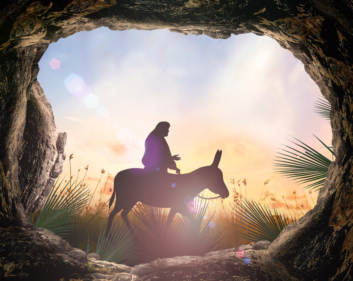 A person riding a donkey through a cave

Description automatically generated