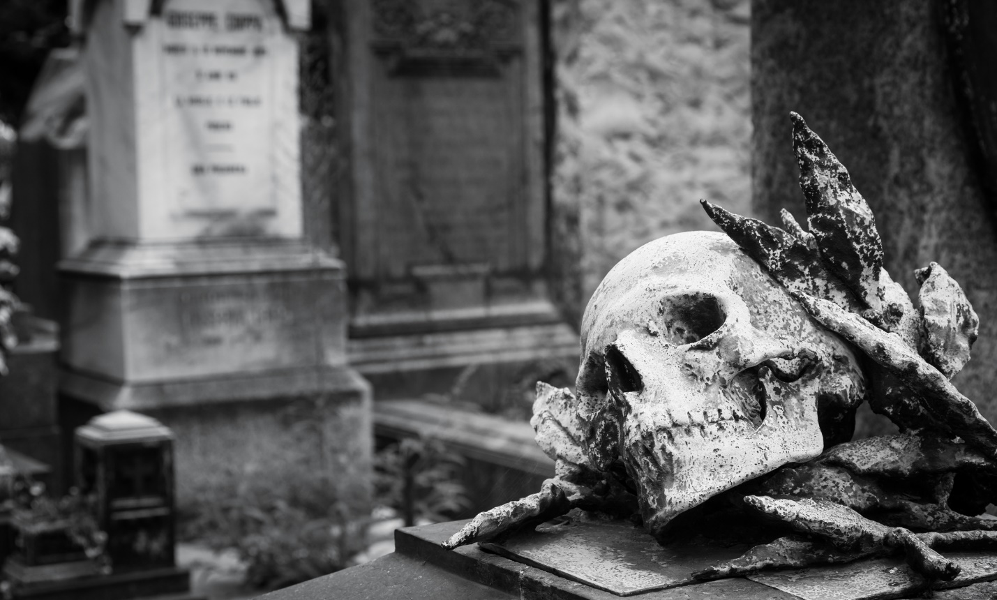 A skull on a grave

Description automatically generated