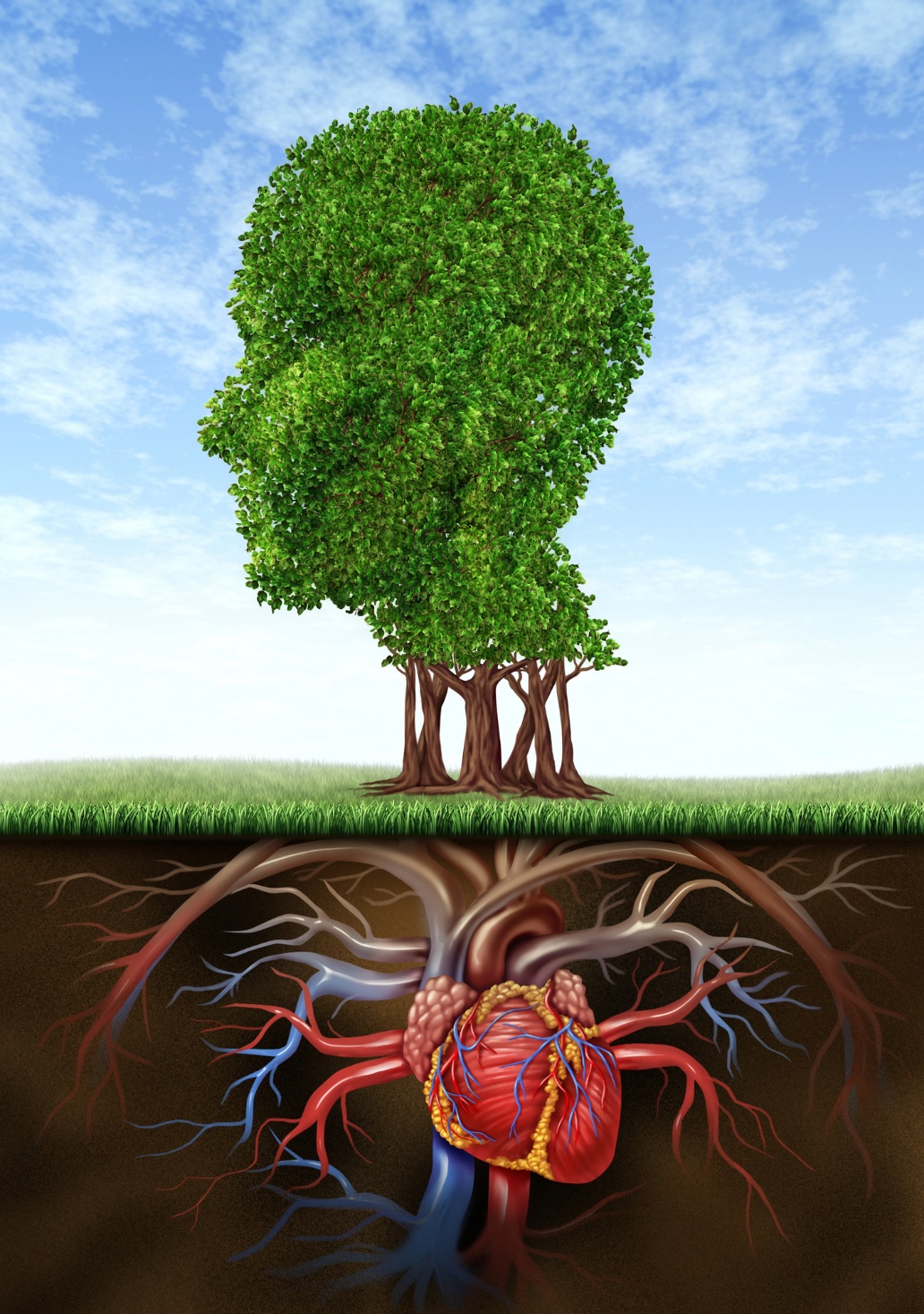 A tree with a human heart and a tree

Description automatically generated with medium confidence