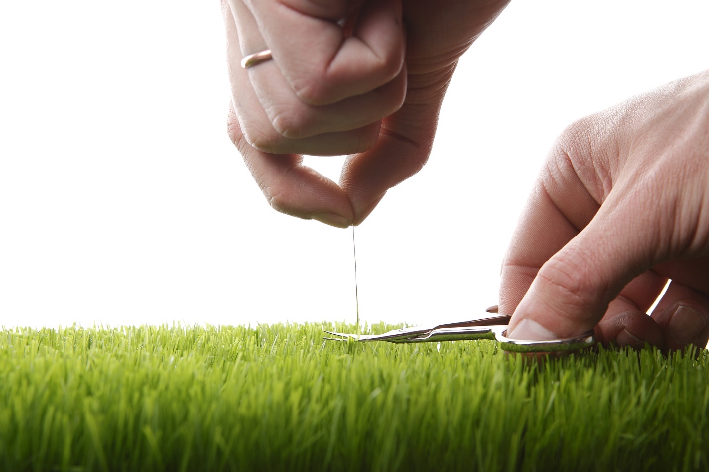 A pair of hands cutting grass

Description automatically generated