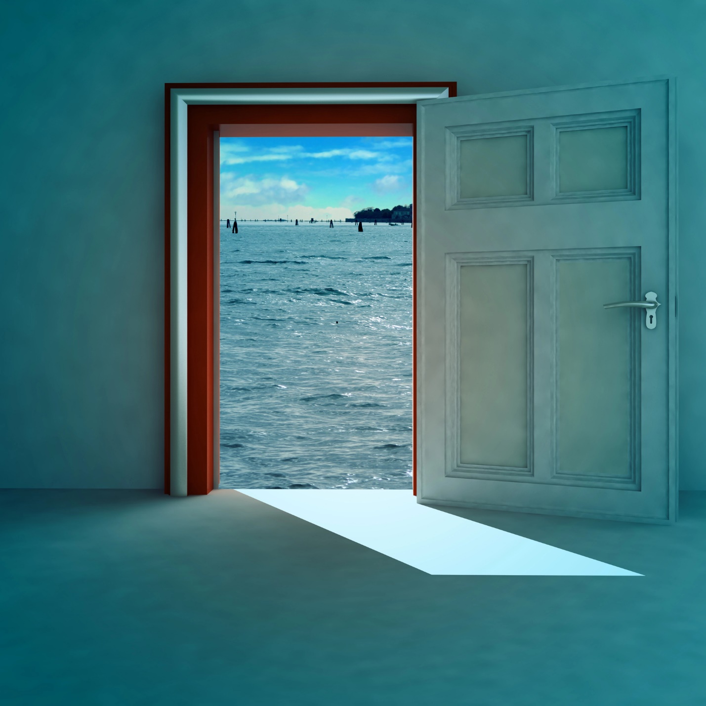 A door open to the ocean

Description automatically generated