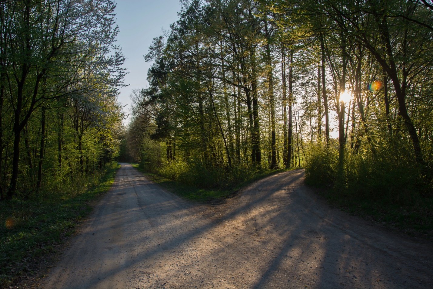 A road with trees in the background

Description automatically generated