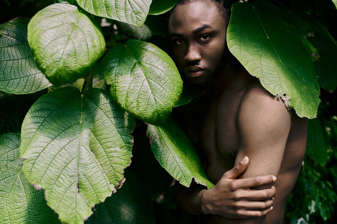 A person standing behind a leafy plant

Description automatically generated