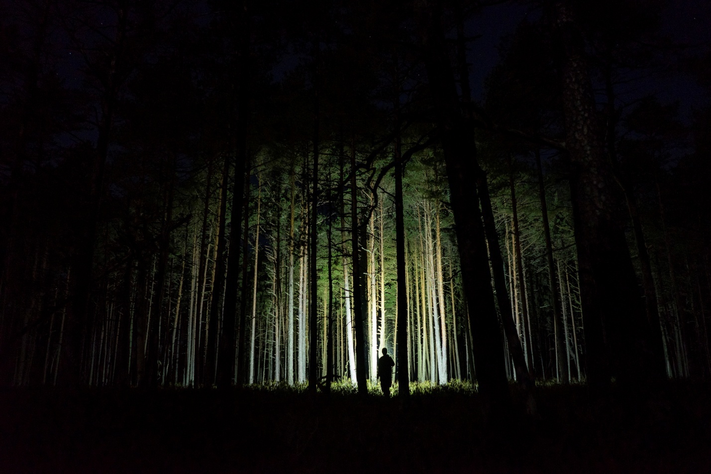 A person standing in a dark forest at night

AI-generated content may be incorrect.
